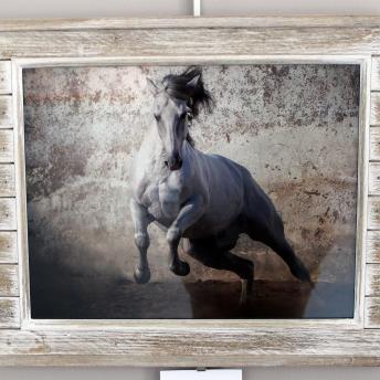 Lusitane Stallion at Librerty by Susan Correia, 3rd Place